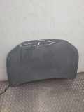 Motorhaube AUDI Q4 SUV (F4B) 40 e-tron