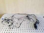 Kabel der vorderen linken Tür BMW X3 (F25) xDrive 20 d 7252537