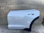 Tür hinten links PORSCHE Taycan Cross Turismo (Y1B) 4