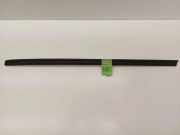 Schutzleiste Kotflügel VW Golf II (19E)