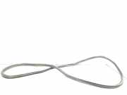 Türgummi rechts vorne Opel Zafira B (A05)