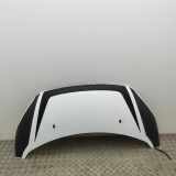 Motorhaube FORD TRANSIT CUSTOM Minibus / passenger 2.0 TDCi PBK21-A16612-AD