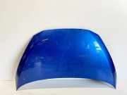 Motorhaube RENAULT AVANTIME (DE0_) 3.0 V6 (DE04, DE0T)