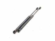 Gasfeder für Motorhaube Audi A6 Allroad (4G) 0081600380N