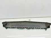 Gitter vorne unten MERCEDES-BENZ B (W246, W242) B 200 (246.243) A2468861122