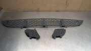 Gitter vorne unten MERCEDES-BENZ E (W210) E 270 CDI (210.016) 2108850053