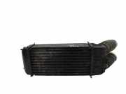 Ladeluftkühler Peugeot 207 () 9651280680