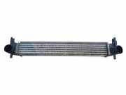 Ladeluftkühler VW POLO (6R, 6C) 1.2 TDI W9450002