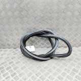 Türdichtungsgummi hinten rechts AUDI A3 Limousine (8YS) S3 quattro 8Y5833721B