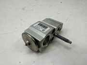 A/C Conditioner Expansion Valve MERCEDES-BENZ A (W177) A 200 (177.087) A2478307800