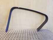 Türpolsterverkleidung hinten rechts CITROËN DS4 1.6 HDi 110 9687385080