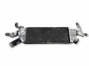 Ladeluftkühler CITROËN C-CROSSER (EP_) 2.2 HDi 1530A061