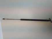 Heckklappe Gasdruckfeder links TOYOTA IQ (_J1_) 1.0 (KGJ10_) 6896012020