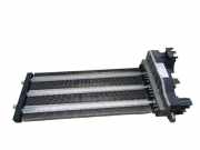 Elektrischer Schulterschulterkühler JAGUAR XF (X250) 2.7 D 0171132202