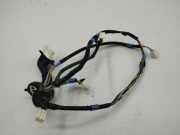 Türverkabelung hinten links TOYOTA RAV 4 IV (_A4_) 2.0 D (ALA40_) 8215442