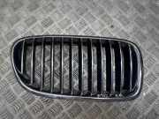 Gitter Grill vorne links BMW 5 Touring (F11) 520 d 7200728