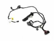 Kabel Tür Audi Q5 (8R) 8R1955407B