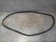 Türdichtung BMW X5 (E70)