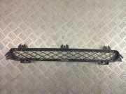 Gitter vorne unten BMW X3 (F25) xDrive 35 i 7210466