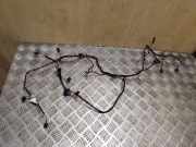 Kabelbaum AUDI Q5 (8R) 3.0 TDI quattro 8K2971566A