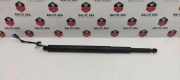 Gasfeder im Kofferraum links BMW 5 Touring (G31) 530 d C63803111
