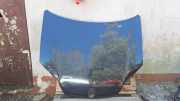 Motorhaube RENAULT LAGUNA III (BT0/1) 2.0 dCi (BT01, BT09, BT12, BT1S)