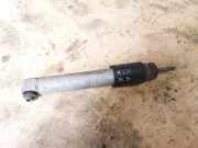 Stoßdämpfer hinten links BMW 5 Touring (E61) 530 d