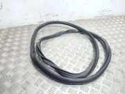 Dichtungsgummi der hinteren Tür (an der Karosserie) VW PASSAT B5 (3B3) 1.9 TDI 3C5867913B