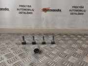 Felgenschloss RENAULT KADJAR (HA_, HL_) 1.6 TCe 165 8201724188