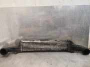 Ladeluftkühler MERCEDES-BENZ E (W210) E 220 CDI (210.006) 2105002000