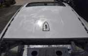 Dach mit Sonnendachausschnitt BMW X6 (E71, E72)