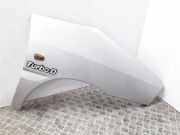 Kotflügel rechts vorne Peugeot Expert III Kasten (V)