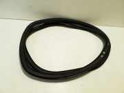 Dichtungsgummi der hinteren Tür (an der Karosserie) SKODA KAMIQ 1.5 TSI 658867368B