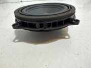 Türlautsprecher vorne links