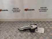 Türgriff links Hyundai iX20 (JC) 100001293