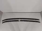 Dachreling links BMW X5 (G05, F95) 8071659