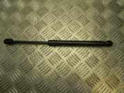 Gasdruckfeder BMW i3 (I01) 7299161