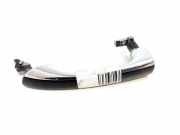 Türgriff links hinten Mercedes-Benz S-Klasse (W221)