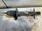 Stoßdämpfer vorne links FIAT DUCATO Furgon (244_) 2.3 JTD