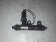 Einspritzleiste Land Rover Discovery III (L319) 4R8Q9C066AC