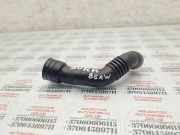 Schlauch für Zylinderkopfhaubenentlüftung VW Bora Variant (1J) 038103493N