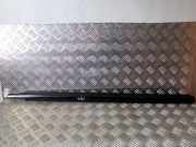 Zier-/Schutzleiste für Türscheibe Chrysler Voyager II (ES)