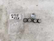 Radmutternsatz Ford Focus IV (HN)