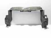 Kühlerluftumlenker RENAULT ESPACE IV (JK0/1_) 3.0 dCi