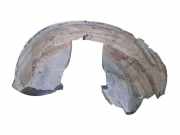 Radhaus rechts vorne Volvo XC70 II (136) 8622543