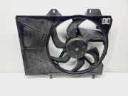 Kühlmodul Peugeot 307 () 1253H5