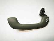 Dachgriff hinten links RENAULT TRAFIC II Furgon (FL) 2.5 dCi 145 (FL0J) 8200000099