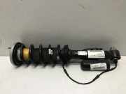 Stoßdämpfer hinten links BMW 8 Cabrio (G14, F91) M 850 i xDrive 6878103