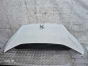 Motorhaube PEUGEOT BOXER Furgon (244) 2.2 HDi