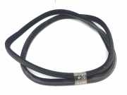 Türdichtung Land Rover Range Rover Evoque I (L538)